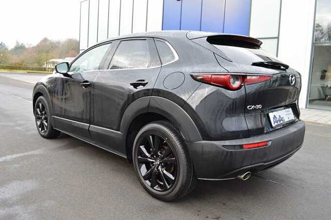Mazda CX-30 2.0 e-SKYACTIV-G M-Hybrid Homura *LED* 