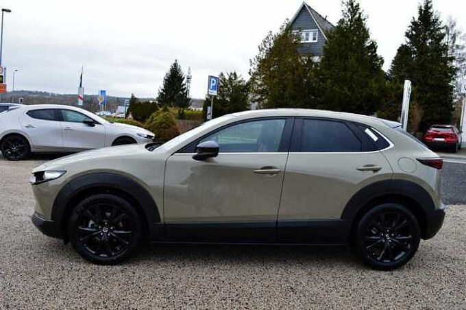 Mazda CX-30 2.5 e-SKYACTIV-G M-Hybrid Nagisa *Leder+LED* 