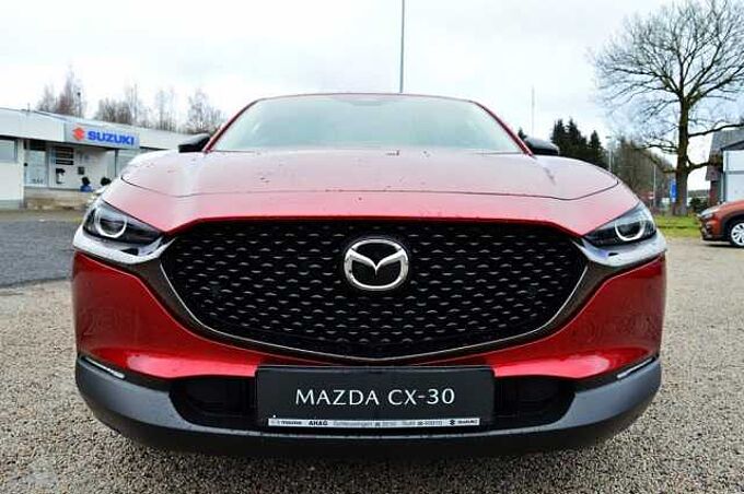 Mazda CX-30 2.5 e-SKYACTIV-G M-Hybrid Nagisa *Leder+LED* 