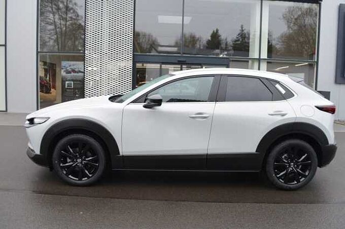 Mazda CX-30 2.5 e-SKYACTIV-G M-Hybrid Homura *LED+CAM+ACC* 