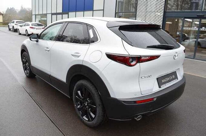 Mazda CX-30 2.5 e-SKYACTIV-G M-Hybrid Homura *LED+CAM+ACC* 
