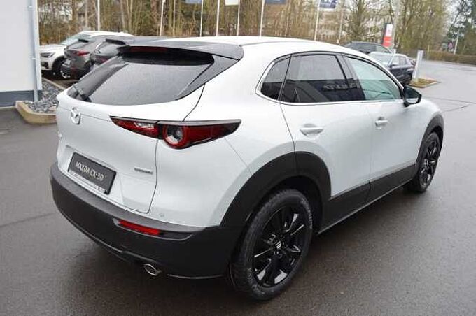 Mazda CX-30 2.5 e-SKYACTIV-G M-Hybrid Homura *LED+CAM+ACC* 