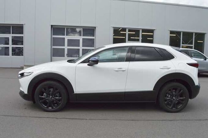 Mazda CX-30 2.0 e-SKYACTIV-X M-Hybrid AWD Homura *BOSE+360+LED*