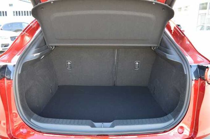 Mazda CX-30 2.5 e-SKYACTIV-G M-Hybrid Makoto *BOSE+LED* 