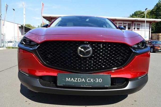 Mazda CX-30 2.5 e-SKYACTIV-G M-Hybrid Makoto *BOSE+LED* 