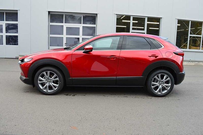 Mazda CX-30 2.5 e-SKYACTIV-G Drive Exclusive-Line *360+LED*