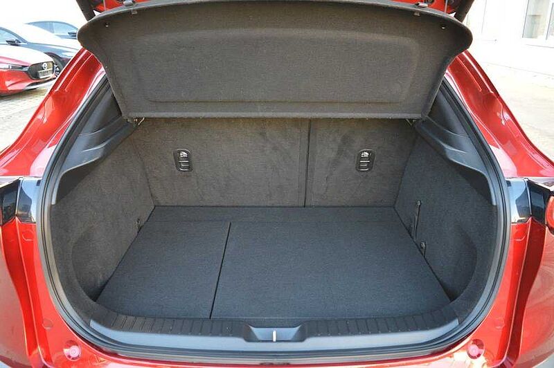 Mazda CX-30 2.0 SKYACTIV-X M-Hybrid Edition100 *Voll+AHK*