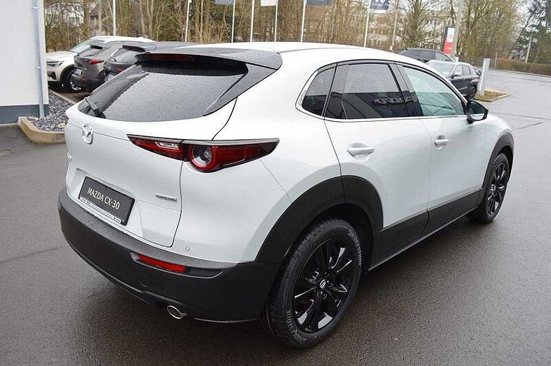 Mazda CX-30 2.5 e-SKYACTIV-G M-Hybrid Homura *LED+CAM+ACC*