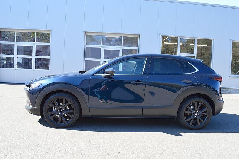 Mazda CX-30 2.0 e-SKYACTIV-G M-Hybrid Drive AWD Homura *LED+Cam+SH*