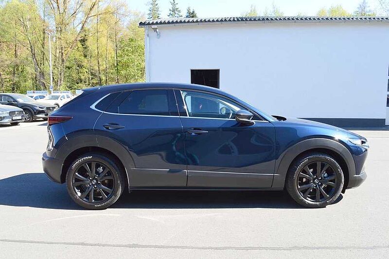 Mazda CX-30 2.0 e-SKYACTIV-G M-Hybrid Drive AWD Homura *LED+Cam+SH*