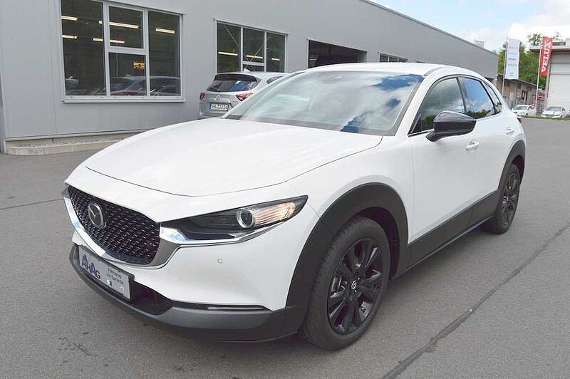 Mazda CX-30 2.0 e-SKYACTIV-X M-Hybrid AWD Homura *BOSE+360+LED*