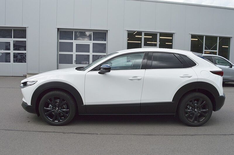 Mazda CX-30 2.0 e-SKYACTIV-X M-Hybrid AWD Homura *BOSE+360+LED*