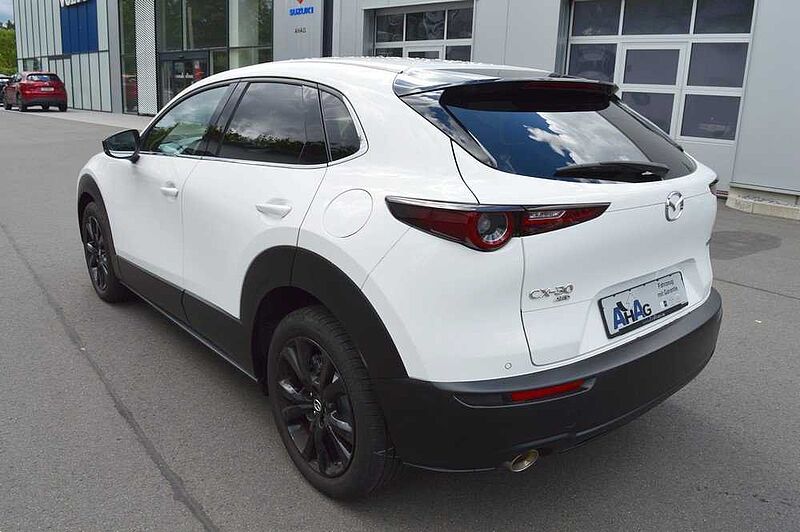 Mazda CX-30 2.0 e-SKYACTIV-X M-Hybrid AWD Homura *BOSE+360+LED*