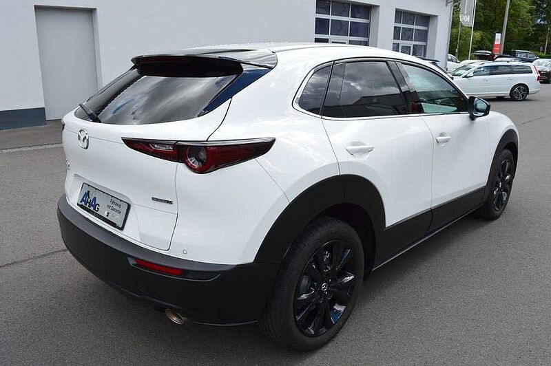 Mazda CX-30 2.0 e-SKYACTIV-X M-Hybrid AWD Homura *BOSE+360+LED*
