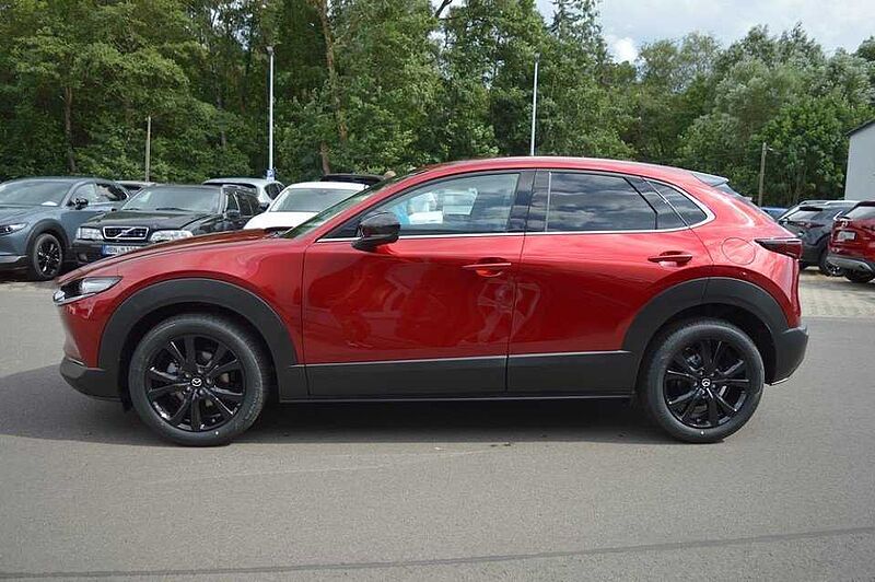 Mazda CX-30 2.5 e-SKYACTIV-G M-Hybrid Drive Homura *2026*