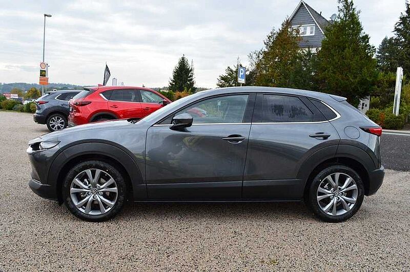 Mazda CX-30 2.0 e-SKYACTIV-G M-Hybrid Exclusive-line *Voll+WR*