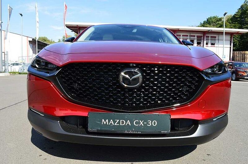 Mazda CX-30 2.5 e-SKYACTIV-G M-Hybrid Makoto *BOSE+LED*
