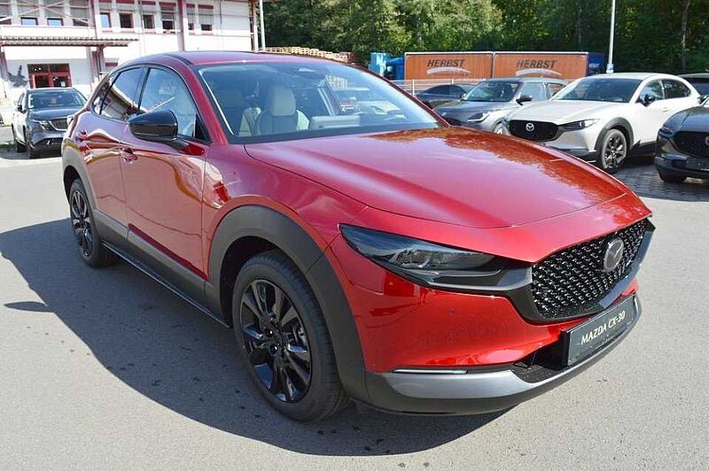 Mazda CX-30 2.5 e-SKYACTIV-G M-Hybrid Makoto *BOSE+LED*